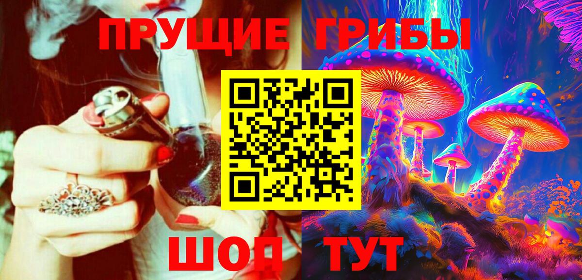 Каспийск  Псилоцибиновые грибы Psilocybine cubensis  Вход с VPN 